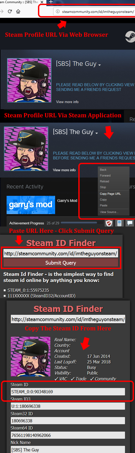 [Image: how_to_obtain_steam_id.png]